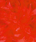 Red-Feather-Boa-(2-meters)