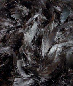 Black Feather Boa 1920s Accessories Black Boa One Size