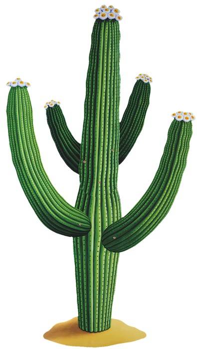 Cactus-Decoration