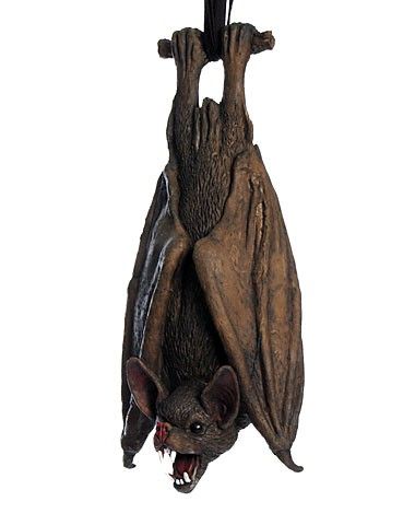 Hanging-Bat