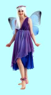 Titania-Fairy-Fancy-Dress-Costume