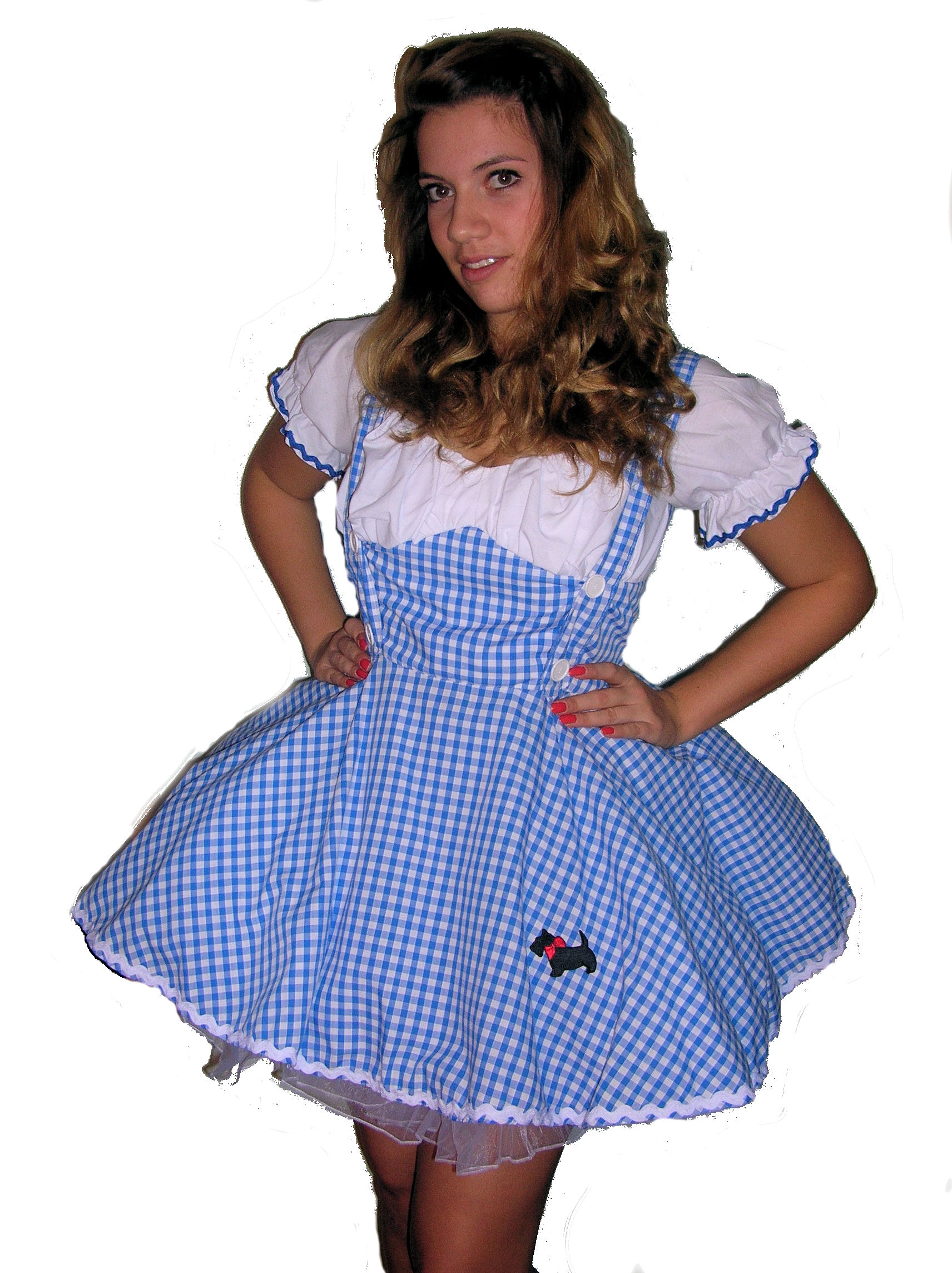 Sexy-Dorothy-Costume