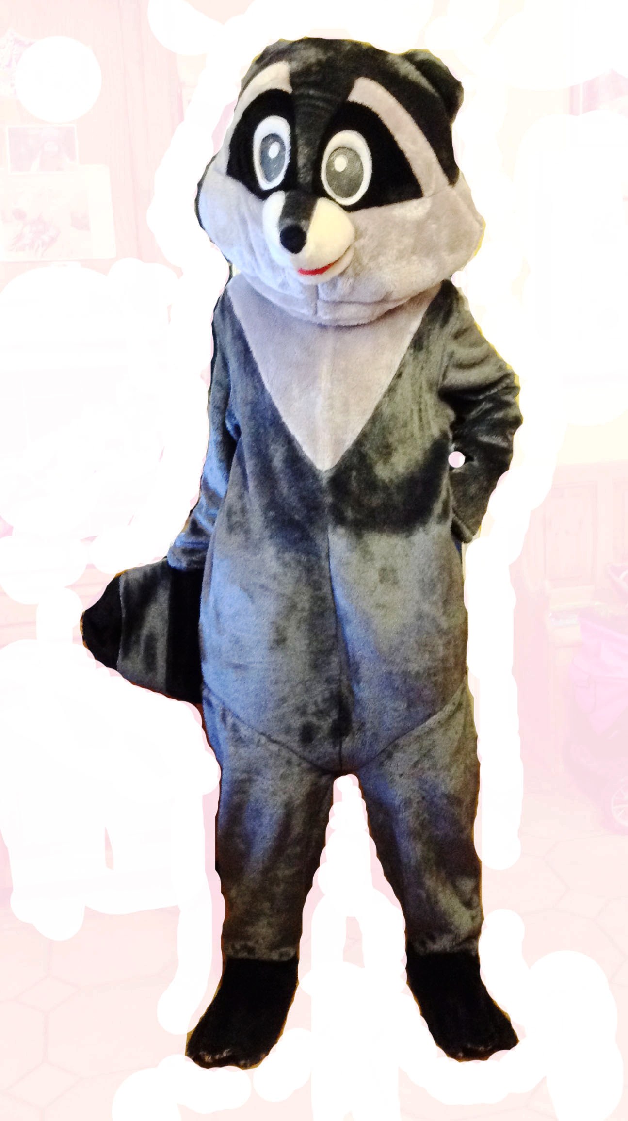 Raccoon Costume