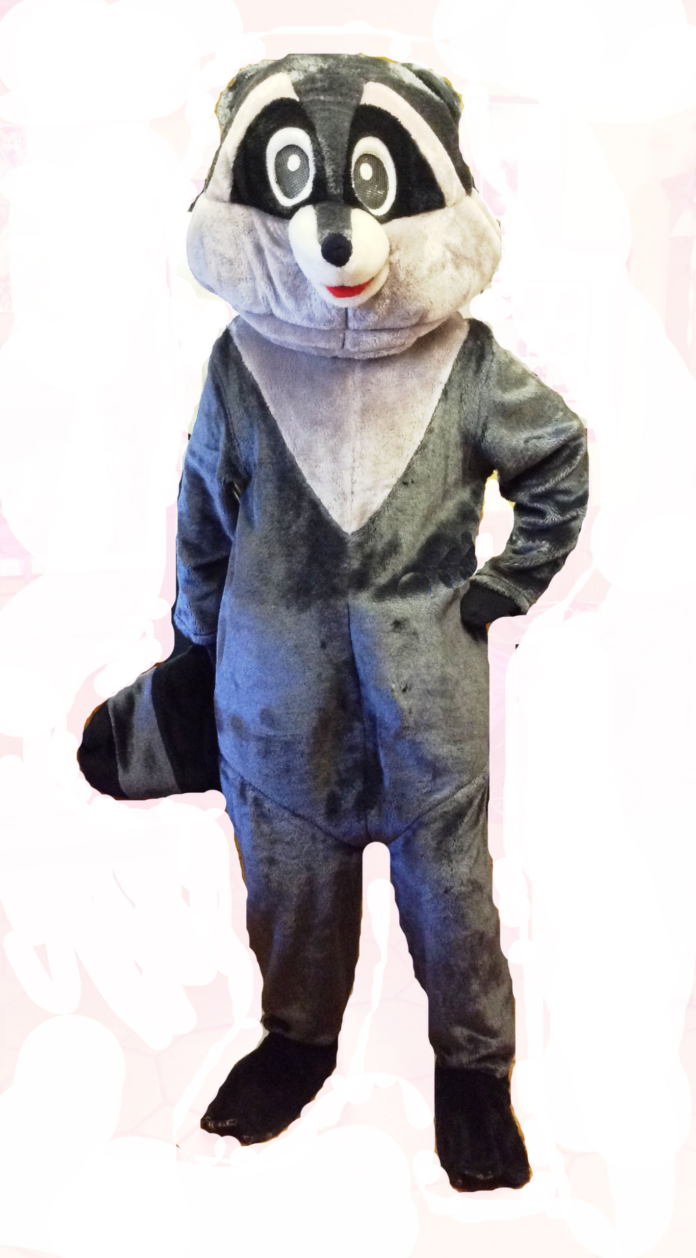 Raccoon_costume