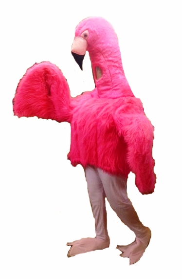 Flamingo_outfit