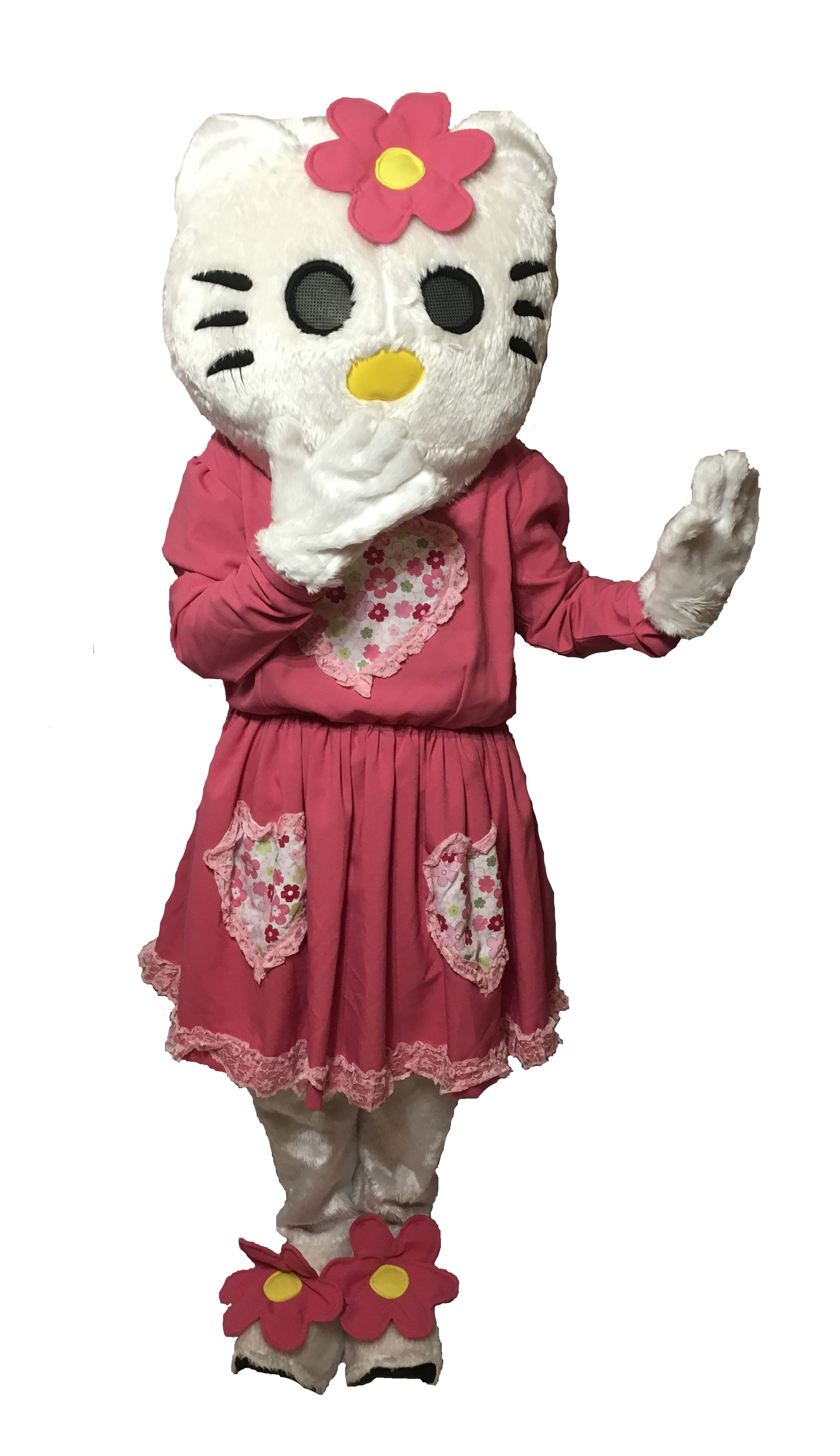 Hire Hello Kitty Costume UK