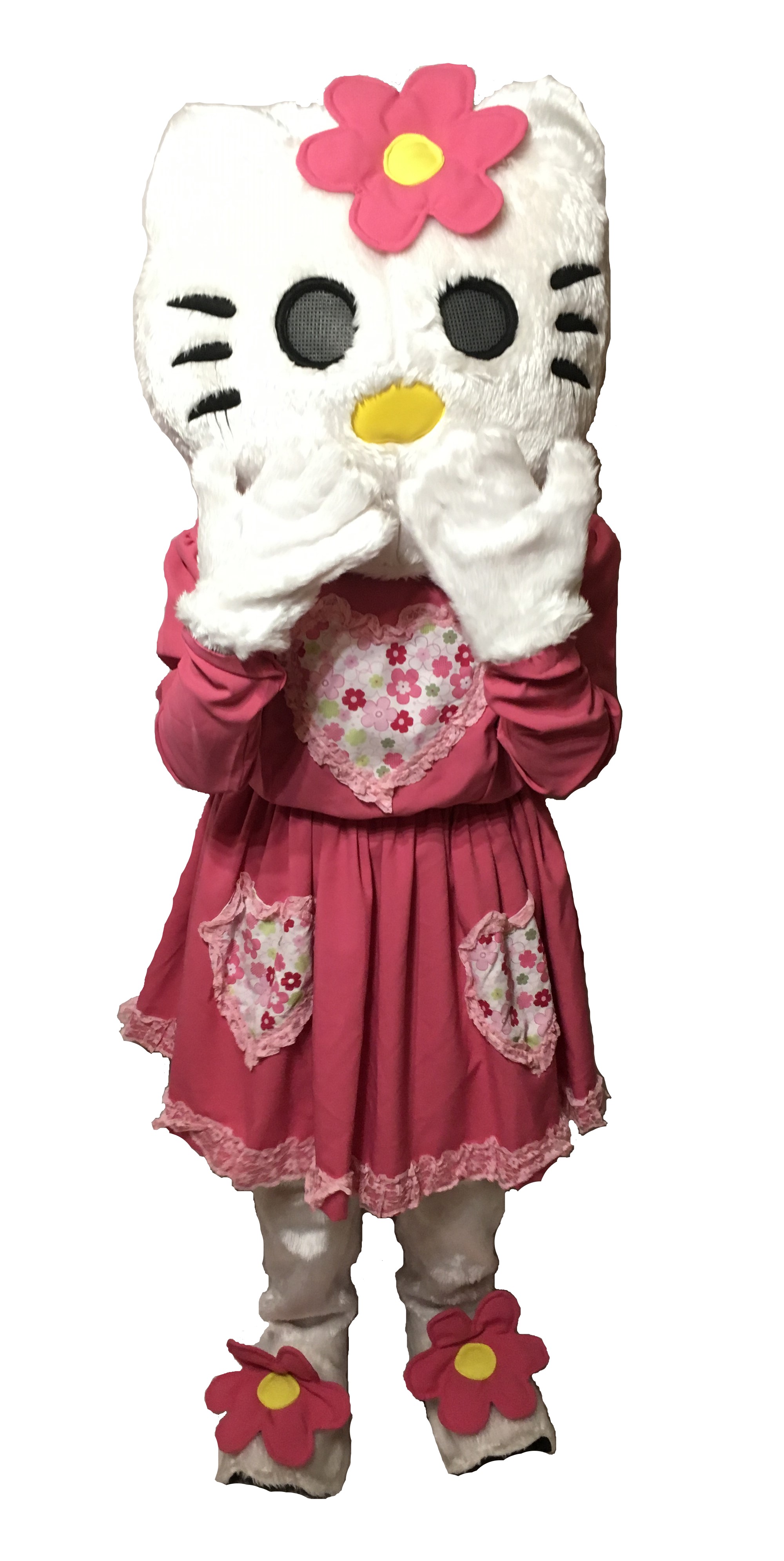Hire Hello Kitty Fancy Dress