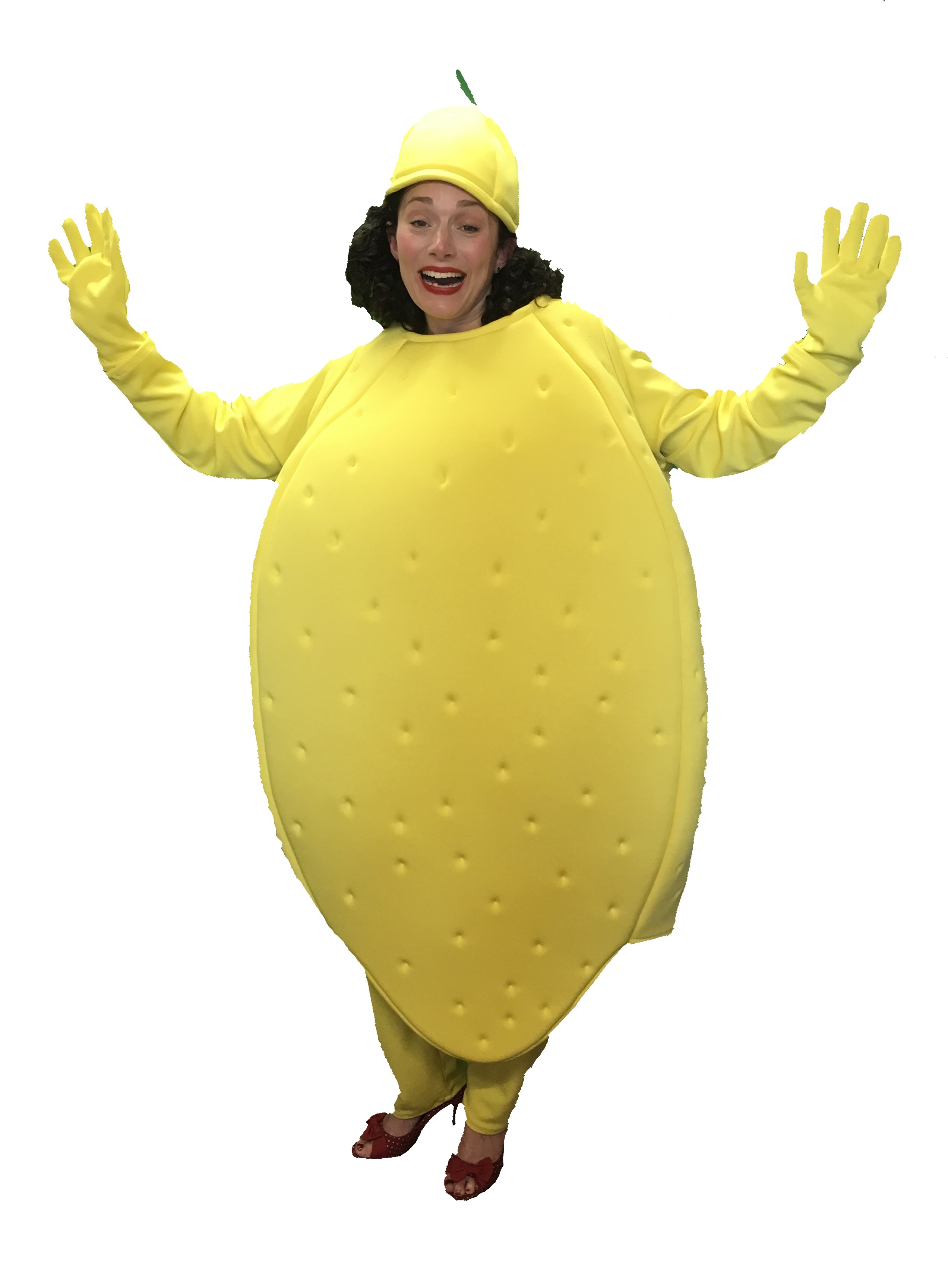 Adult Yellow Lemon Costume Fruit Fancy Dress Outfit