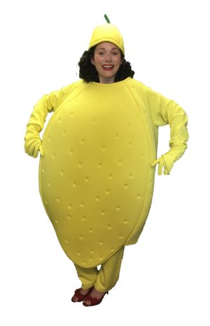 Adult Yellow Lemon Costume Fruit Fancy Dress Outfit