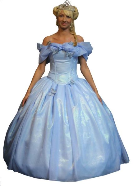 Blue Adult Cinderella Dress Princess Fancy Dress
