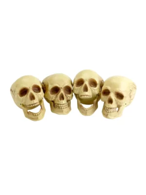 Skull Head Props 4 Life Size Realistic Human Skull Decoration