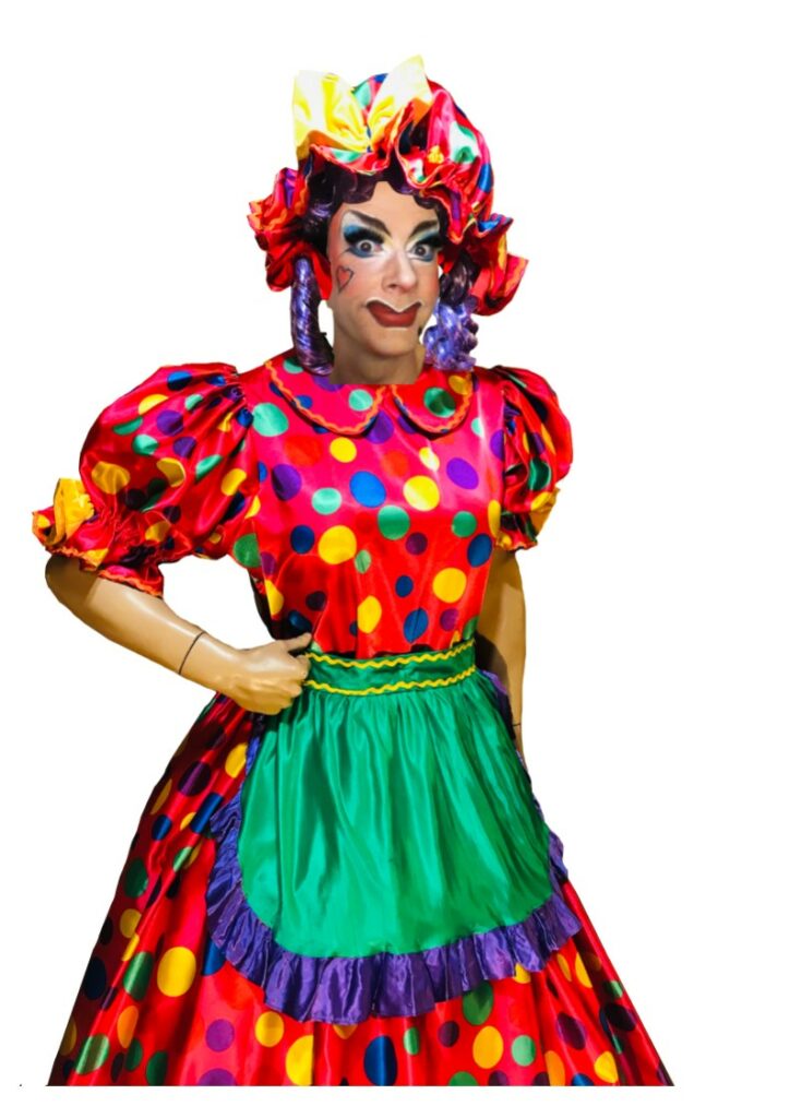 Panto Dame Dress Pink with Stars Pantomime Costume