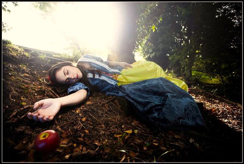 Pantomime Costumes for Hire