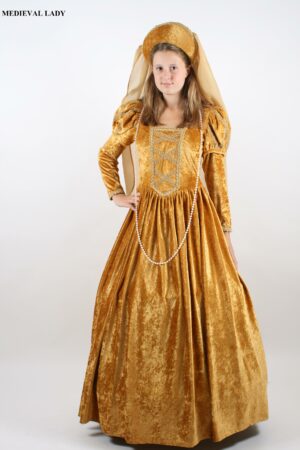 Gold Tudor Queen Costume Elizabethan Dress Medieval Gown