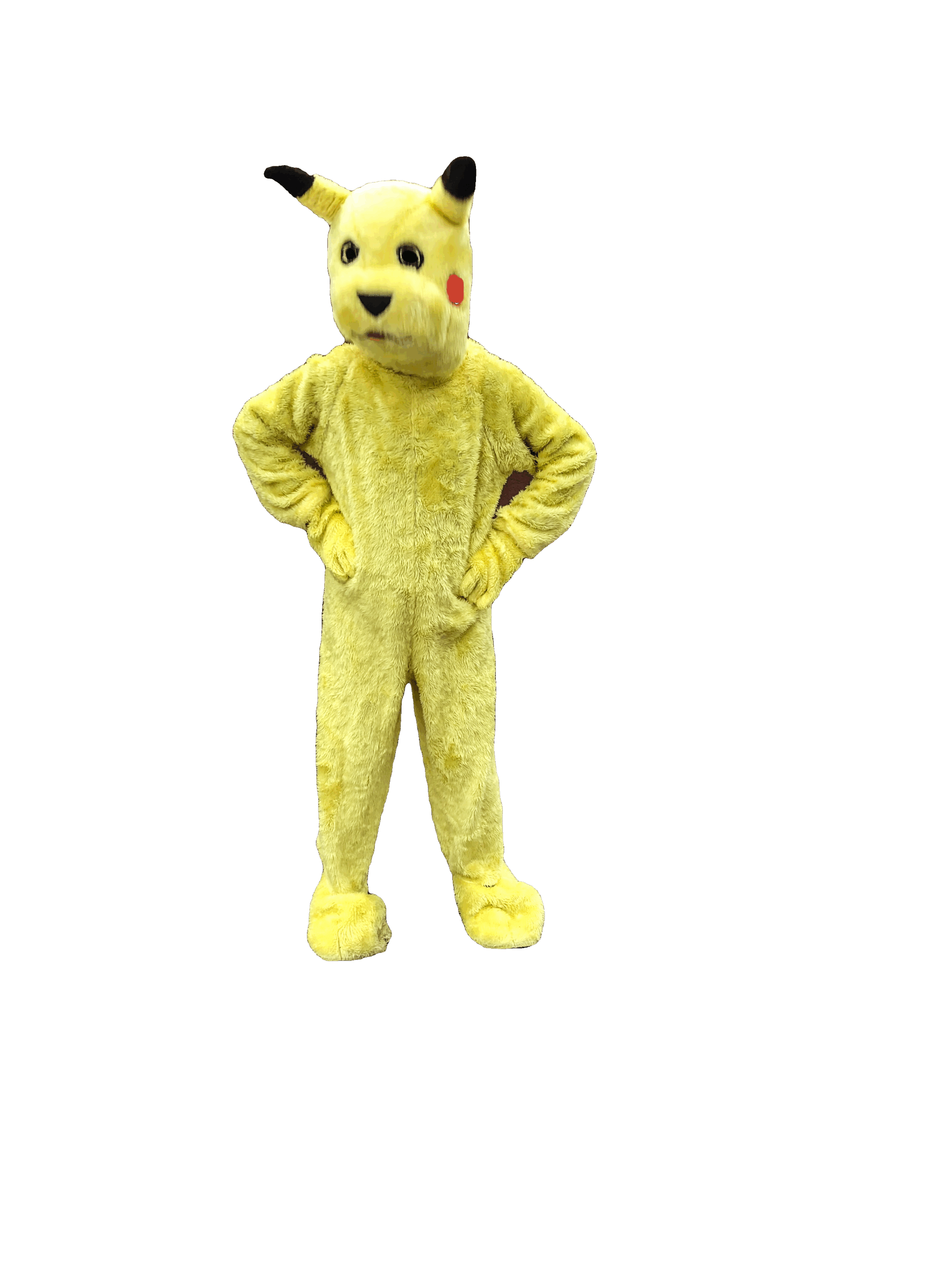 Pikachu Costume Pokémon Fancy Dress Cartoon