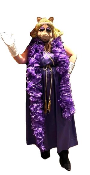 Miss Piggy Costume The Muppet Show Fancy Dress